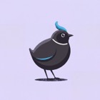 Quail